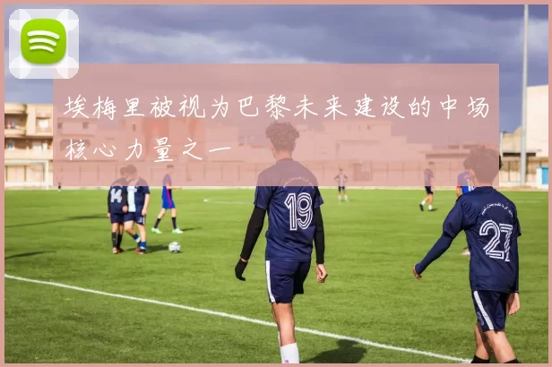 埃梅里被视为巴黎未来建设的中场核心力量之一