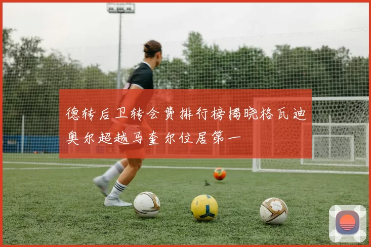德转后卫转会费排行榜揭晓格瓦迪奥尔超越马奎尔位居第一