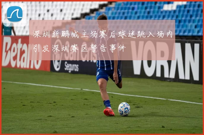 深圳新鹏城主场赛后球迷跳入场内引发深圳赛区警告事件